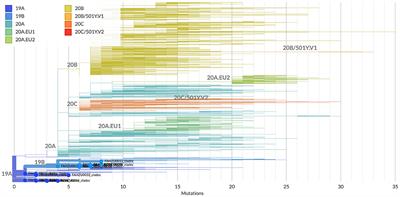 Genomic Epidemiology of SARS-CoV-2 From Mainland China With Newly Obtained Genomes From Henan Province